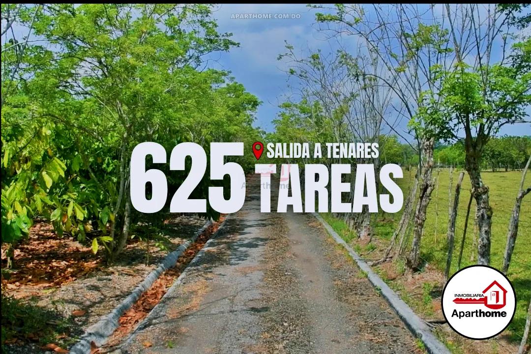 625 Tareas (Zona Urbana) en Salida Tenares, Rep. Dom.