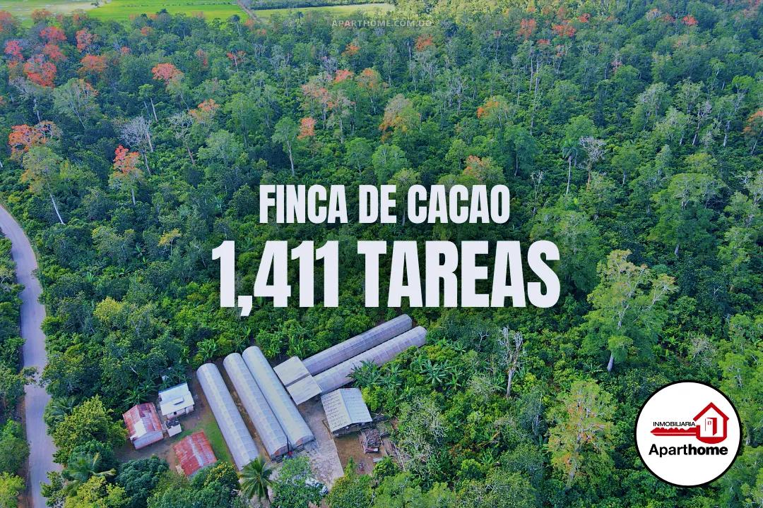 Finca con 1,411 Tareas de Cacao en República Dominicana