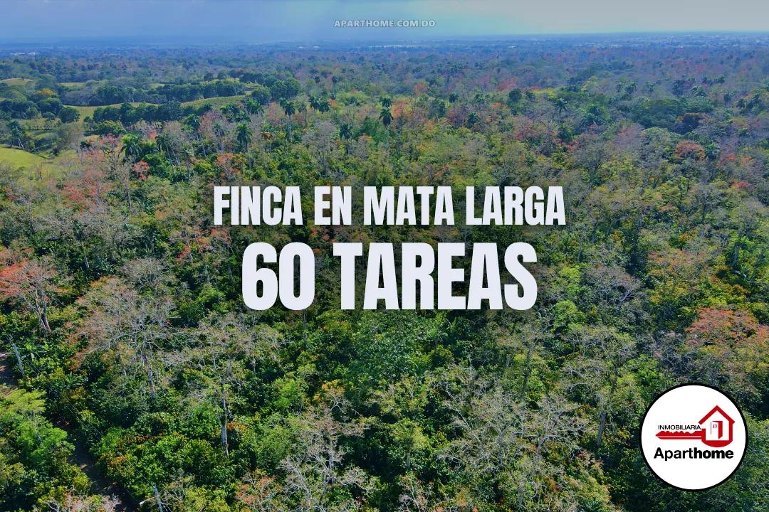 Finca de 60 Tareas en Mata Larga, Provincia Duarte