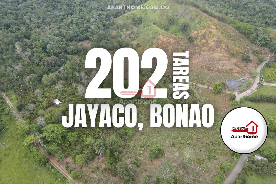 Finca en Venta en Jayaco, Bonao con Producción Agrícola y Potencial Ecoturístico | 202 Tareas en República Dominicana