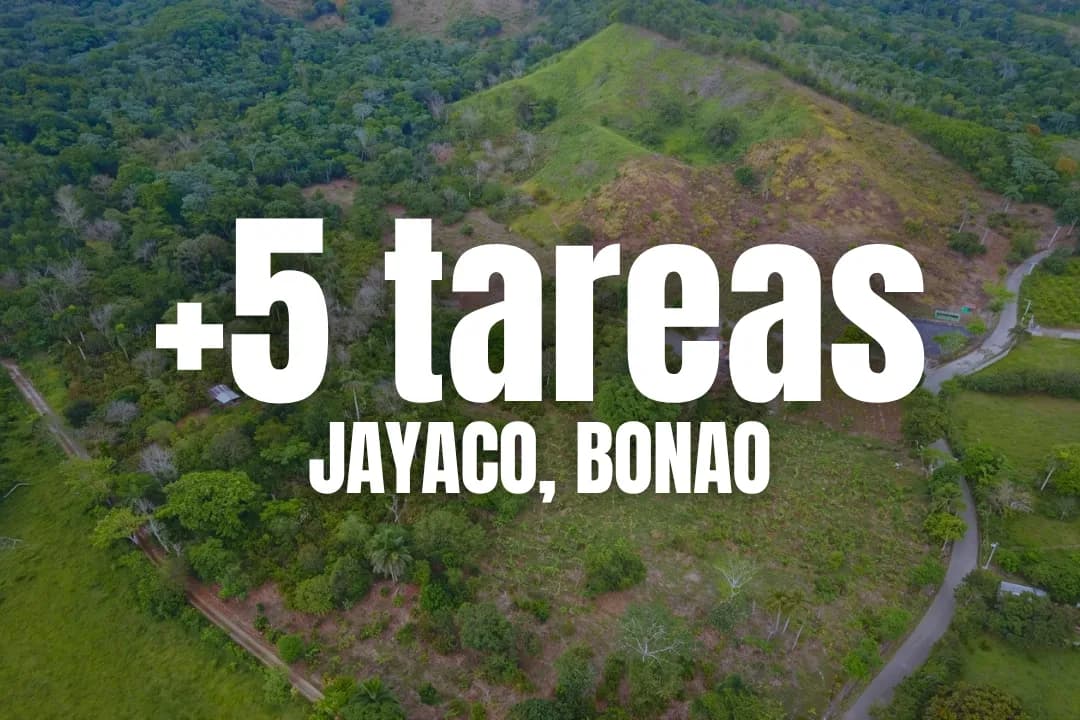 Lotes de 5 a 10 Tareas en Venta en Jayaco, Bonao con Potencial Ecoturístico y Casa de Campo en República Dominicana