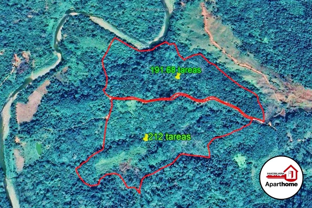 Terreno Agrícola Productivo en Naranjo Dulce Boba | 403.50 Tareas, Precio Negociable