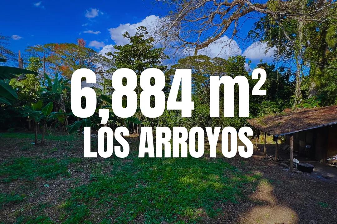 Terreno de 6,884 m² con Casa de 2 niveles por RD$16,000,000 en Los Arroyos, San Francisco de Macorís